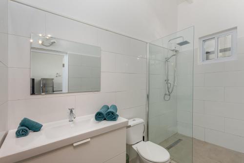 克拉伦代克Casita Palma的浴室配有卫生间、盥洗盆和淋浴。