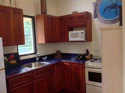 White HillMermaid Manor Belize的厨房配有木制橱柜、水槽和微波炉