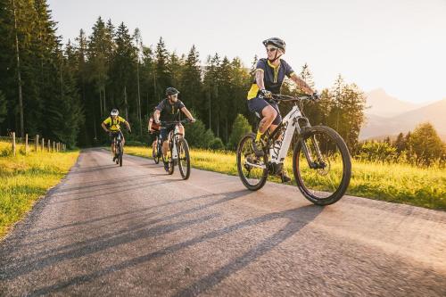 茵特斯托德TRIFORÊT alpinresort的一群人骑着自行车沿着马路