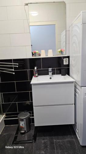 鹿特丹马沙文斯维登公寓酒店的厨房配有白色水槽和冰箱