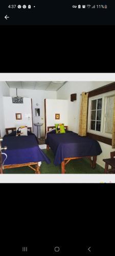 San CarlosSancarlosbeach的一间卧室设有两张床和窗户。