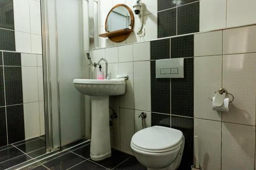 卡特佩ALEX VİLLAGE LİFE的一间带卫生间、水槽和镜子的浴室