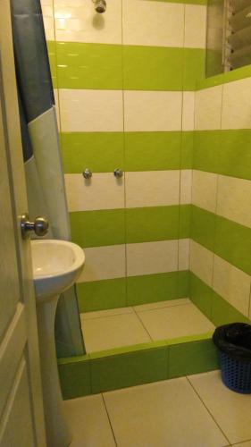 万卡约HOTEL MAJHAMI的浴室设有水槽和绿色条纹淋浴。
