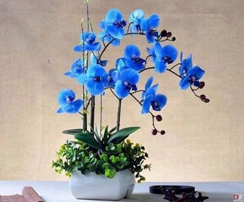 Tân TạoNhà trọ Tân An的白色花瓶,花朵蓝色