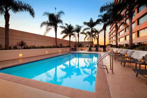 洛杉矶洛杉矶机场威斯汀酒店的棕榈树酒店的一个游泳池