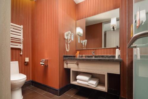 抚松县长白山万达Momoland酒店的一间带水槽、卫生间和镜子的浴室
