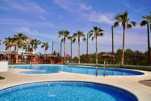 莫特里尔Aguacate Beach Apartamentos Playa Granada的一座棕榈树环绕的大型游泳池