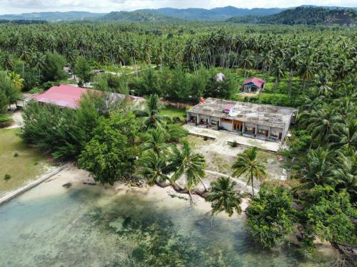 TelukdalemTaman Baloho Indah - Hotel & Resort的香蕉种植园上房子的空中景观