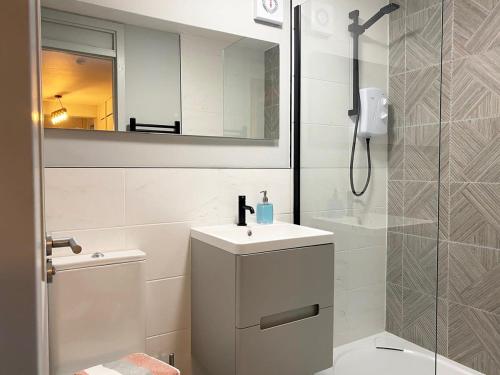 格拉斯哥Beautiful West End Flat with Private Parking的一间带水槽、淋浴和镜子的浴室