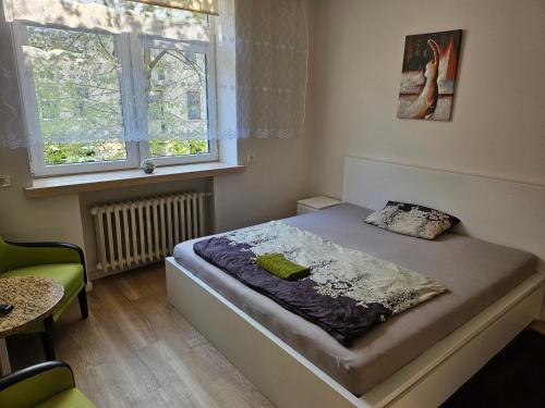 考纳斯Lux kambarys centre su karališka lova #3的一间卧室设有一张床和一个窗口