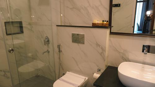 乌代浦Hotel Naren Villa的带淋浴、卫生间和盥洗盆的浴室