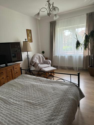 圣安德烈Pelini - 2的一间卧室配有一张床、一把椅子和电视