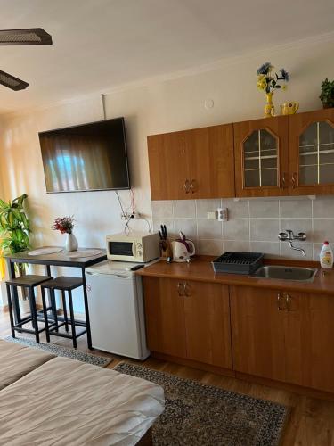 什图罗沃弗洛里达一室公寓旅馆的厨房配有木制橱柜、水槽和微波炉