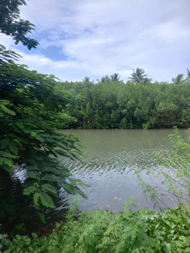 克罗托格Sea Side local buffet Thur-Sun的享有树木背景的河流美景