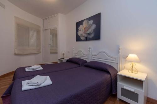 阿罗纳Cristianmar 3 - One Bed的一间卧室配有两张带紫色床单和灯的床。