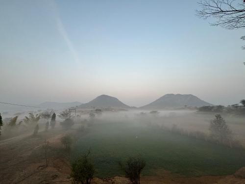 斋浦尔The Bainada farm的山地的雾中的一个田野