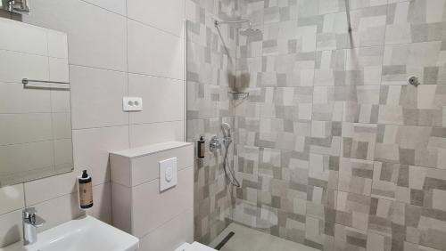 波德戈里察拉古纳酒店的带淋浴、卫生间和盥洗盆的浴室