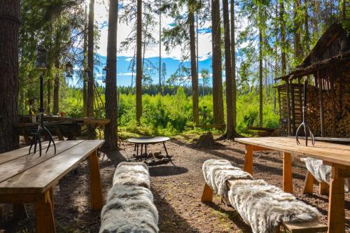 哈瑟拉Glamping in Wilderness的一组野餐桌和长凳