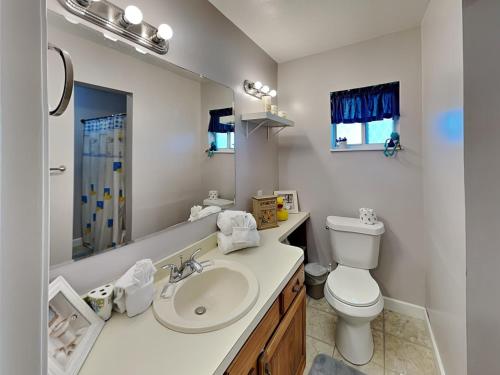 赛维尔维尔Country Charmer的一间带水槽、卫生间和镜子的浴室