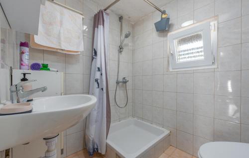 博罗维奇Nice Apartment In Potocnica With House Sea View的白色的浴室设有水槽和淋浴。
