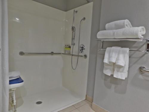 克利夫兰克利夫兰市中心智选假日酒店的带淋浴、卫生间和毛巾的浴室