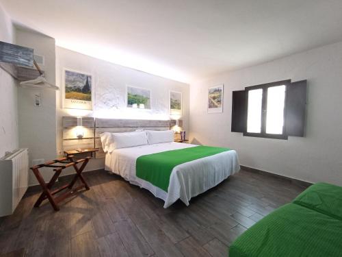 扎哈拉Casa Hotel LA JARANA的一间卧室配有一张带绿毯的大床