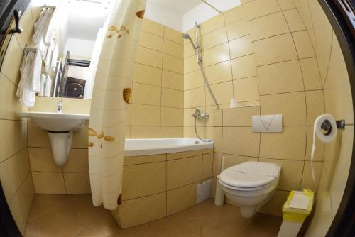 拉姆尼库沃尔恰Hotel Posada的一间带卫生间和水槽的小浴室