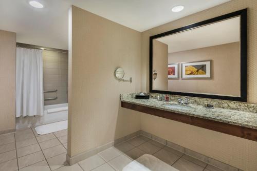隆娜特里帕克梅多斯南丹佛万豪酒店的一间带水槽和镜子的浴室