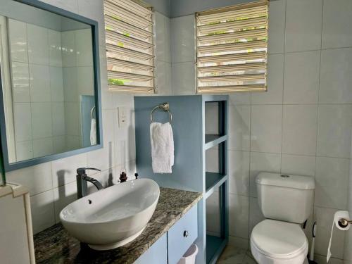 Port ElizabethModern apt with view and easy beach access的一间带水槽和卫生间的浴室
