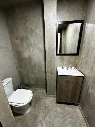 科尔多瓦DOCTA RESIDENCIA的一间带卫生间、水槽和镜子的浴室