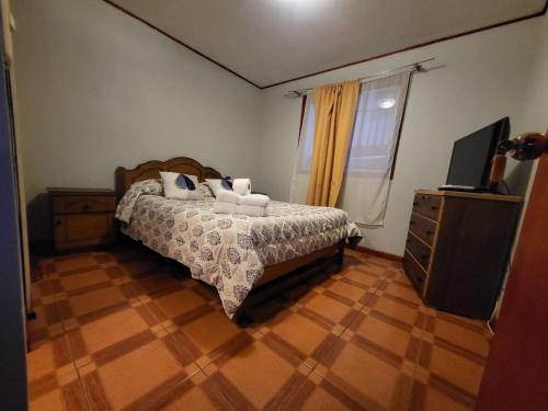 卡尔德拉Hostal aleja的一间卧室配有一张床、梳妆台和电视。