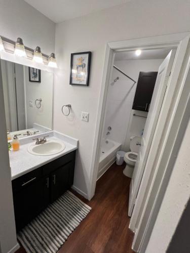 奥斯汀Cozy Rooms的一间带水槽和卫生间的浴室