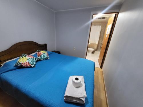 卡尔德拉Hostal aleja的一间卧室配有一张蓝色的床和一卷卫生纸