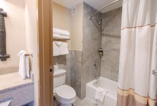 昆斯伯里Six Flags Great Escape Lodge & Indoor Waterpark的带淋浴、卫生间和浴缸的浴室