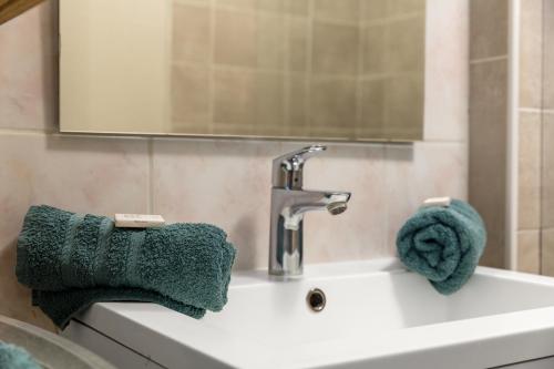 艾克斯莱班Studio Victoria的浴室水槽配有水龙头和绿毛巾