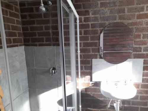 KamieskroonMegs Accommodation的带淋浴、盥洗盆和镜子的浴室
