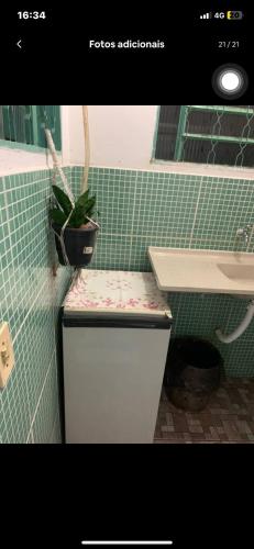 科伦巴Casa - Família Hassan的一个带植物的柜台和水槽的浴室