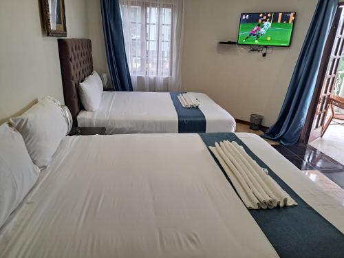 哈博罗内LOTUS LODGE的一间酒店客房,设有两张床和电视