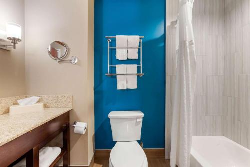 拉斯克鲁塞斯拉斯克鲁塞斯25号州际公路康福特套房酒店的浴室设有卫生间和带毛巾的淋浴。