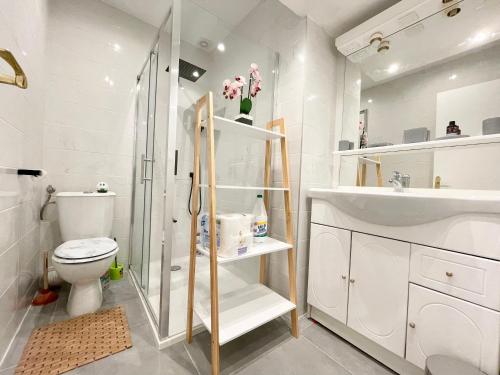 戛纳Le GALLIA 2 BEDROOM refait à neuf CENTER OF CANNES的带淋浴、卫生间和盥洗盆的浴室