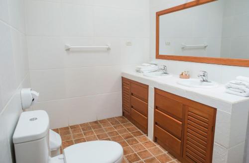SicuaniWilkamayu Hotel的一间带卫生间、水槽和镜子的浴室