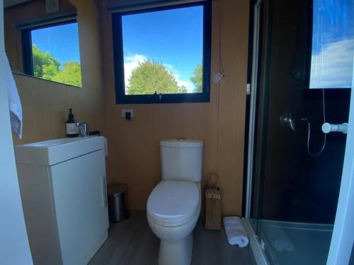 陶朗加Forest Farm Tiny House的一间带卫生间、窗户和淋浴的浴室