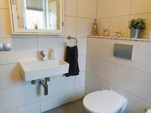 巴特法灵博斯特尔Ferienhaus Heide的一间带水槽和卫生间的浴室