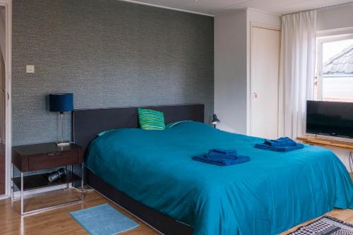 阿尔滕BenB De Dromen van Tuyn的一间卧室配有一张带蓝色床单的床和电视。