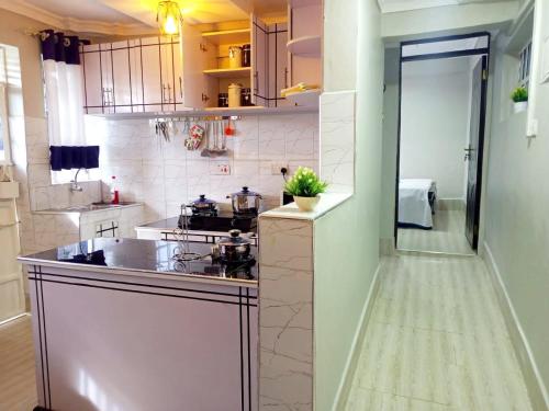 基塔莱Emerald Gardens Airbnb的厨房配有水槽和台面