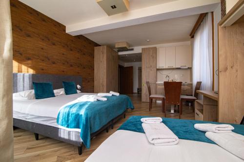 兹拉蒂博尔Central Inn的酒店客房带两张床和厨房