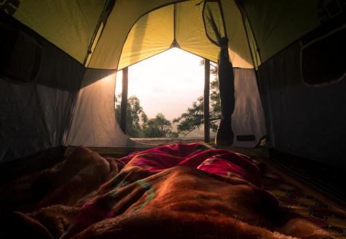 蒙纳Campper Campwoody Munnar的帐篷内的一张床位,配有窗户