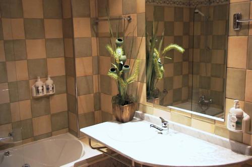 贝纳文特圣地亚哥酒店的浴室设有水槽和植物浴缸