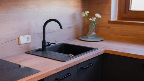 因斯布鲁克Eva Apartments - Bergisel的厨房柜台设有水槽和花瓶