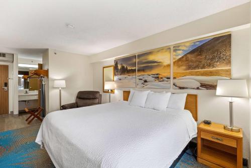 大瀑布城大瀑布城戴斯酒店的酒店客房设有一张大床和一张书桌。